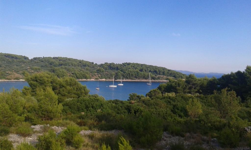 Drazan Sibenik